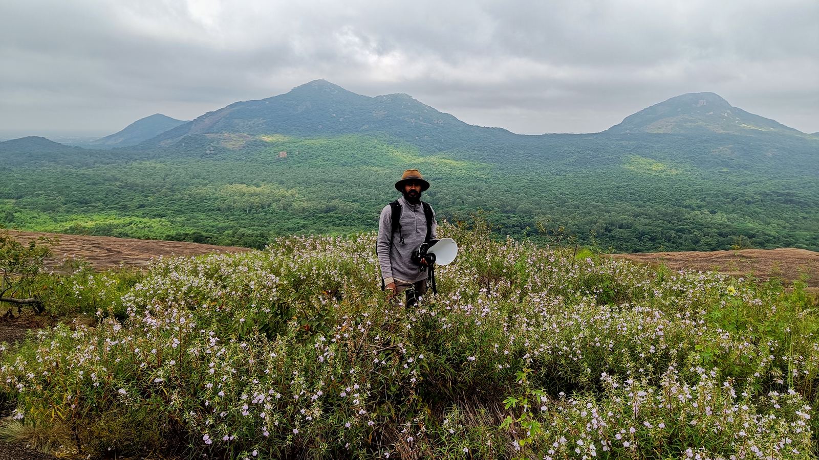 The forests of Devarayanadurga, home of Vanya Siri