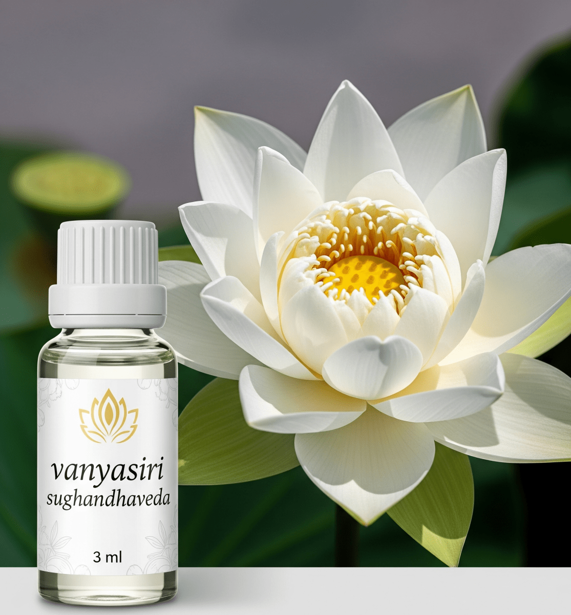 White Lotus Oil (Pundarika Taila) 3ML