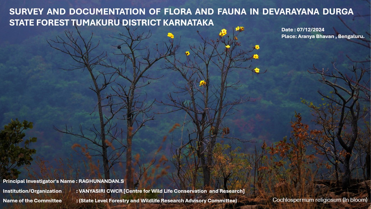 Flora and Fauna Research